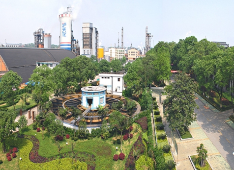 弘旭公司携手中国五冶集团洽谈海外项目合作